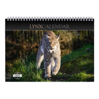 Lynx 2024 Wall Calendar