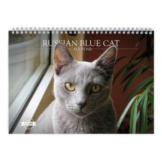 Russian Blue Cat 2024 Wall Calendar