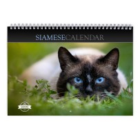 Siamese Cat 2024 Wall Calendar