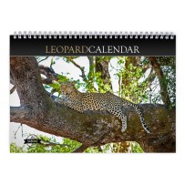 Leopard 2024 Wall Calendar