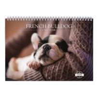 French Bulldog 2024 Wall Calendar