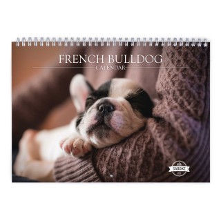 French Bulldog 2024 Wall Calendar