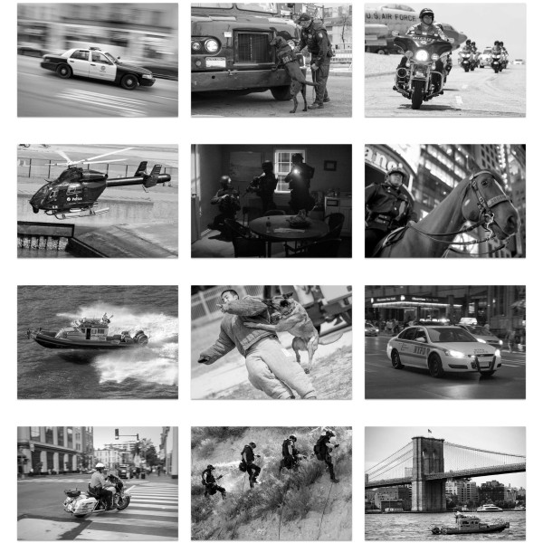 Law and Order (Vol. I)