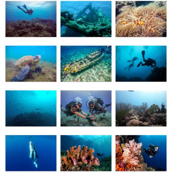Subaquatic Voyage (Vol. I)