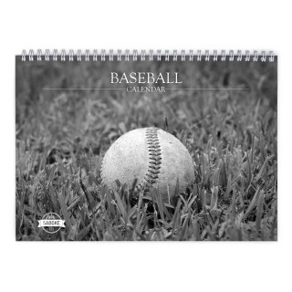 Baseball 2024 Wall Calendar