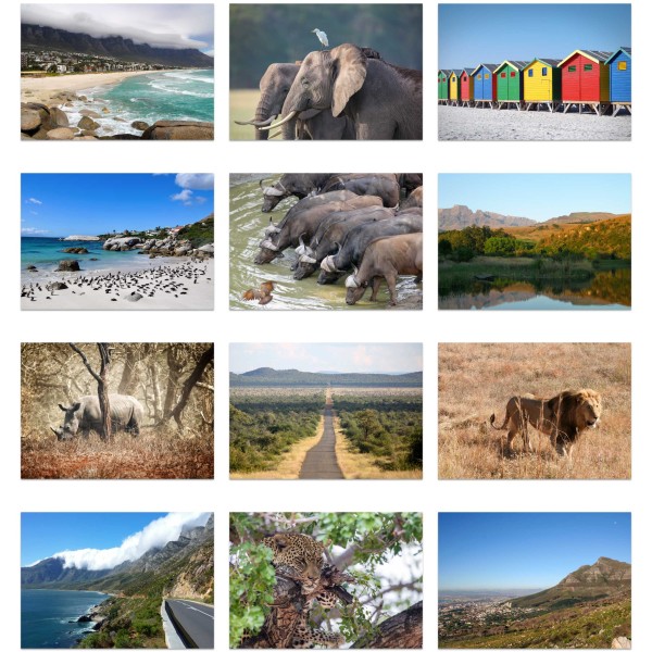 Safari South (Vol. I)