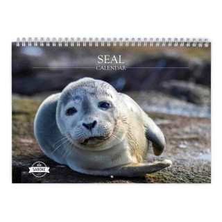 Seal 2024 Wall Calendar