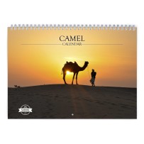 Camel 2024 Wall Calendar