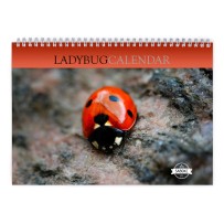 Ladybug 2024 Wall Calendar