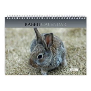 Rabbit 2024 Wall Calendar
