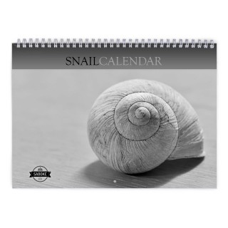 Snail 2024 Wall Calendar