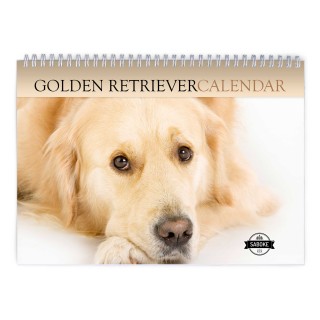 Golden Retriever 2024 Wall Calendar