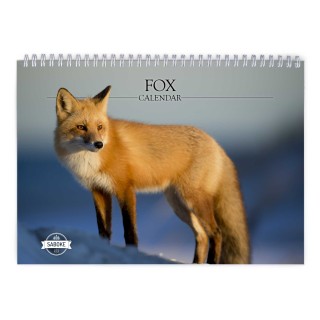 Fox 2024 Wall Calendar