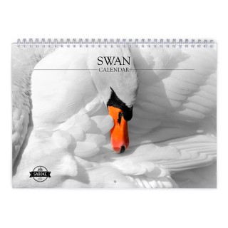 Swan 2024 Wall Calendar