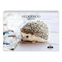 Hedgehog 2024 Wall Calendar