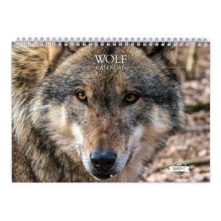 Wolf 2024 Wall Calendar