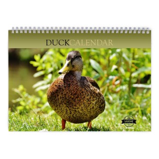Duck 2024 Wall Calendar