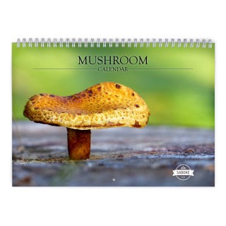 Mushroom 2024 Wall Calendar