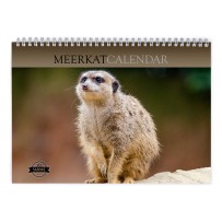 Meerkat 2024 Wall Calendar