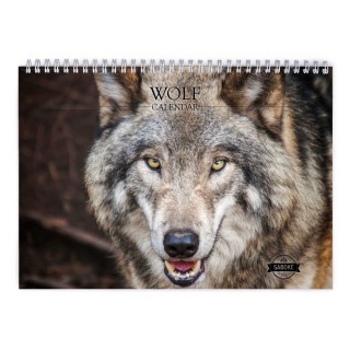 Wolf 2024 Wall Calendar