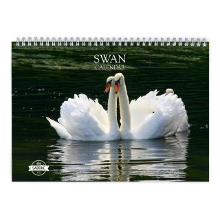 Swan 2024 Wall Calendar