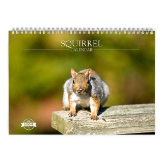 Squirrel 2024 Wall Calendar