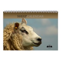 Sheep 2024 Wall Calendar