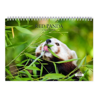 Red Panda 2024 Wall Calendar