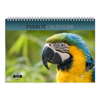 Parrot 2024 Wall Calendar
