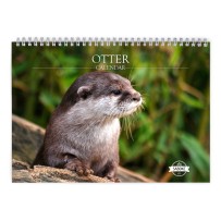 Otter 2024 Wall Calendar