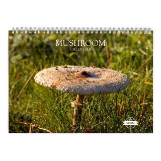 Mushroom 2024 Wall Calendar