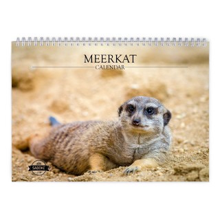 Meerkat 2024 Wall Calendar