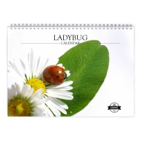 Ladybug 2024 Wall Calendar