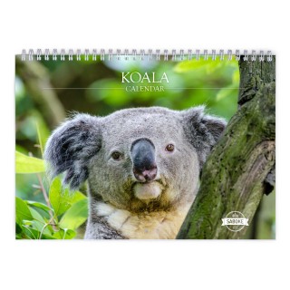 Koala 2024 Wall Calendar