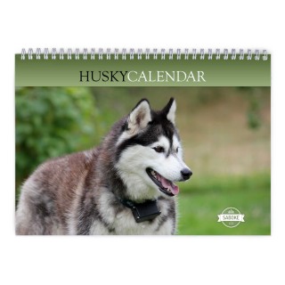 Husky 2024 Wall Calendar