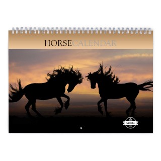 Horse 2024 Wall Calendar