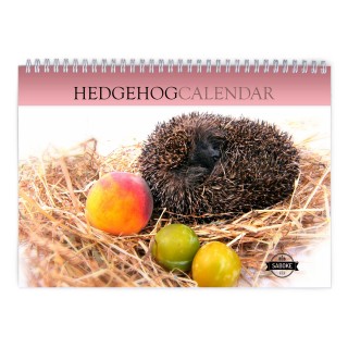 Hedgehog 2024 Wall Calendar