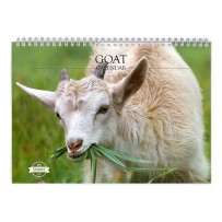 Goat 2024 Wall Calendar
