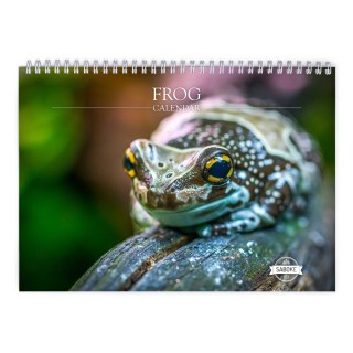Frog 2024 Wall Calendar
