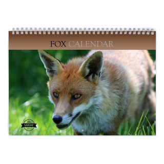 Fox 2024 Wall Calendar