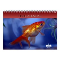 Fish 2024 Wall Calendar