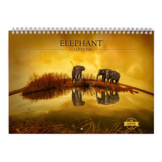 Elephant 2024 Wall Calendar