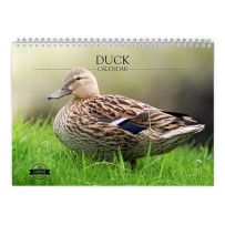 Duck 2024 Wall Calendar