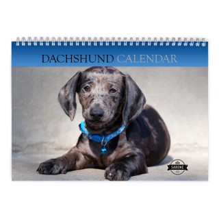 Dachshund 2024 Wall Calendar