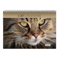 Cat 2024 Wall Calendar