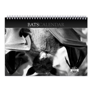 Bats 2024 Wall Calendar