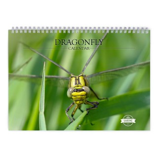 Dragonfly 2024 Wall Calendar
