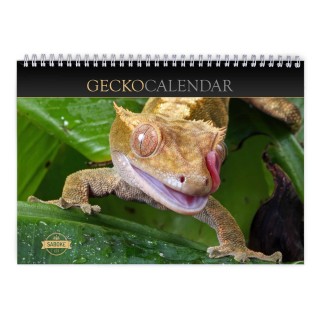 Gecko 2024 Wall Calendar