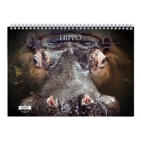 Hippo 2024 Wall Calendar