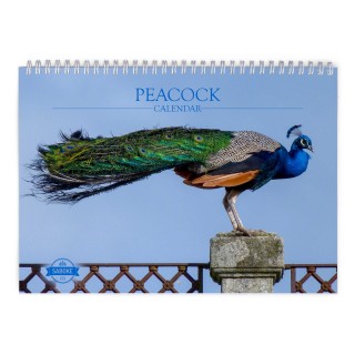 Peacock 2024 Wall Calendar